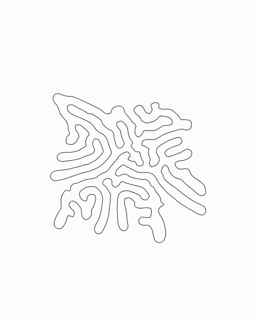 Growth